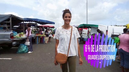 Marché de Gourdeliane  : enquête sur les prix et les volumes des fruits et légumes