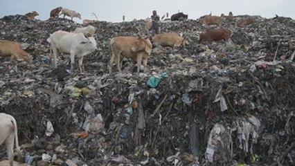 India lidera la lucha contra el plástico en el Día Mundial del Medio Ambiente
