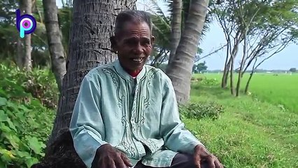 JOKOWI MUSLIM SEJATI.! TAK NYANGKA, BEGINI KATA SANTRI KETIKA JOKOWI RESMIKAN PONDOK PESANTREN