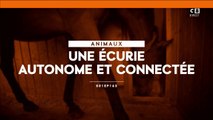 Une écurie autonome et connectée