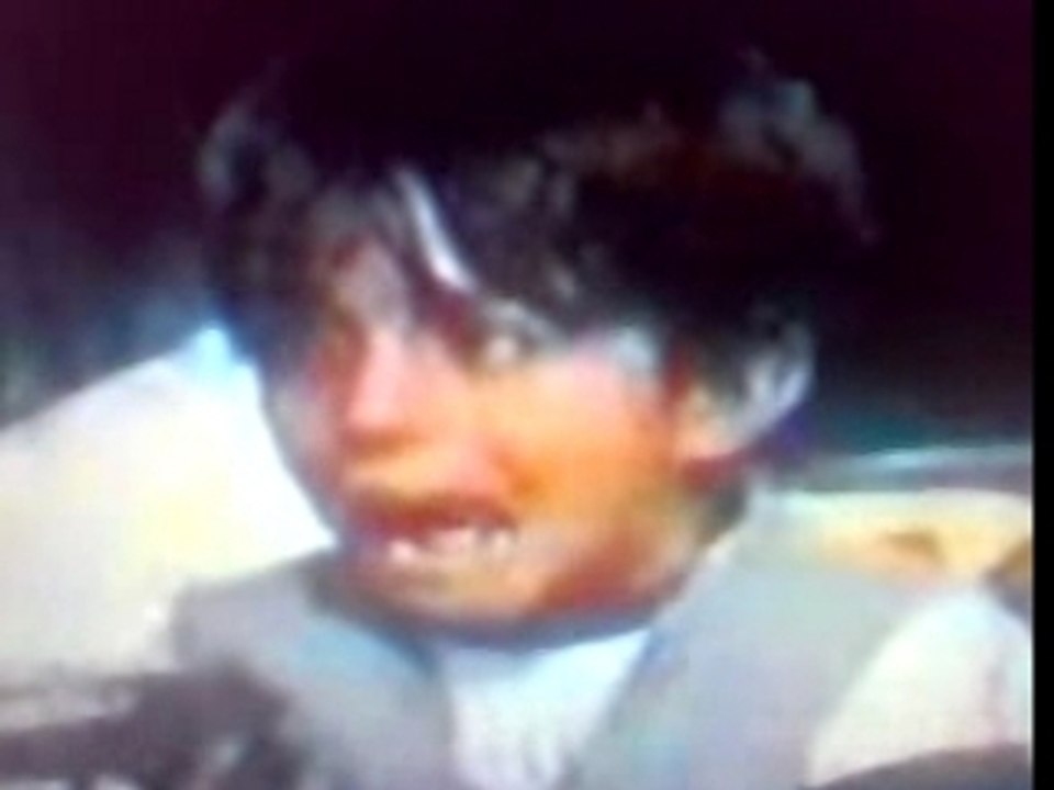 Gitanillo puro  con 7 anos