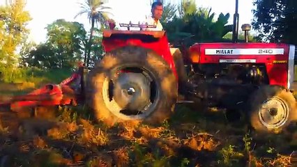Punjab Pind Simple Natural Village Life In Pakistan