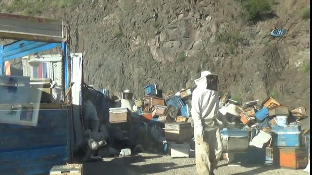 Arı Kovanı Yüklü Kamyon Devrildi, Binlerce Arı Sürücülere Zor Anlar Yaşattı