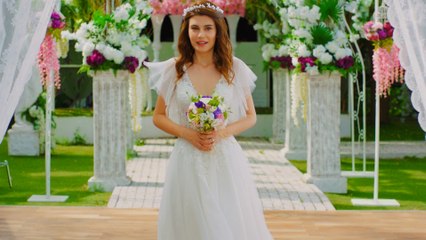 Darısı Başımıza Tanıtım