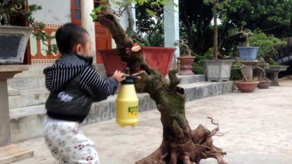 cute baby-boy watering plants