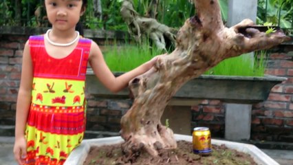 lovely little baby girl standing near tree trunk and no falling leaves