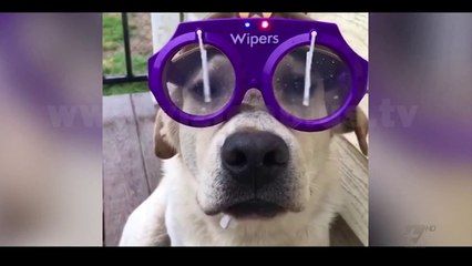 Next - Crazy - 5 Qershor 2018 - Show - Vizion Plus