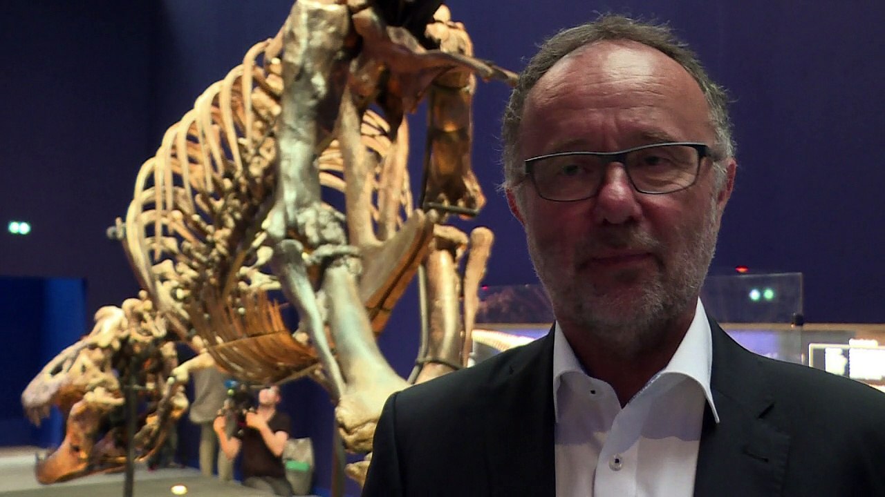Um T-Rex exposto em Paris