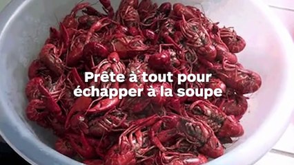 Une écrevisse tente de s'échapper de la soupe