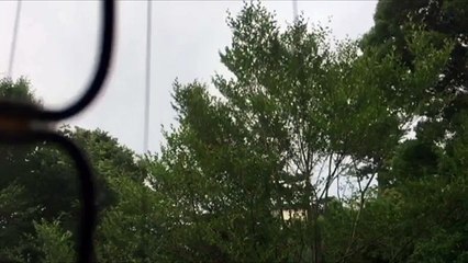 EDR July #23 Aircraft flies over my house