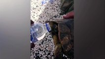 Susuz Kaplumbağaya Eliyle Su İçiren Mehmetçik/Turkish Military with Water Supplied by Waterless Turtle