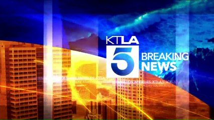 Designer Kate Spade Dead at 55