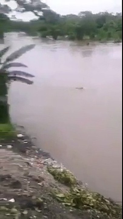 Hombre cubano nadando