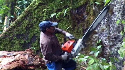 World Environment Day: 4 stories that shocked us into change