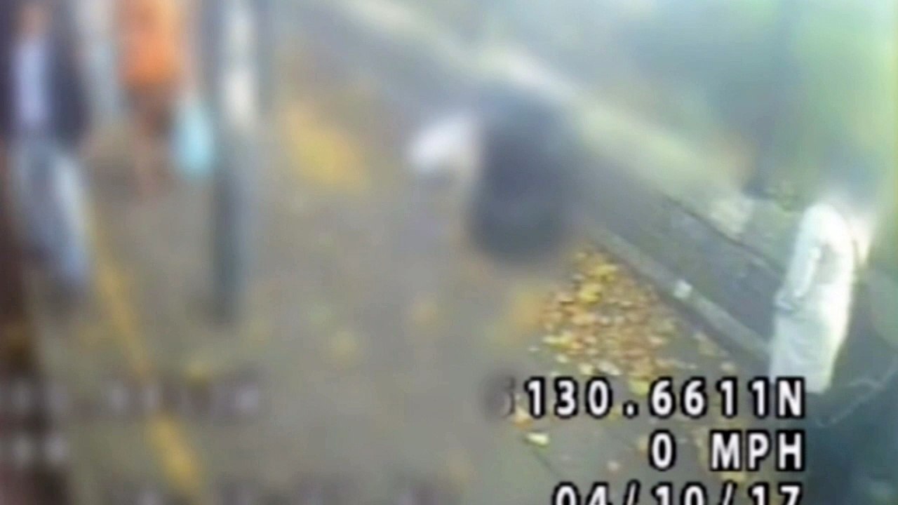 Police release footage of vicious claw hammer attack