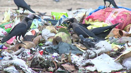 Praias mais limpas em Mumbai