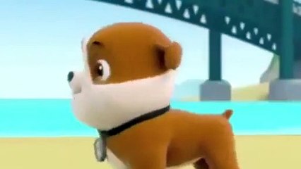 Щенячий патруль на русском 1 Эпизод все серии подряд - Paw Patrol