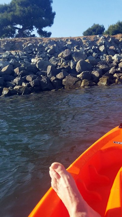 Kayakers Explore Bubbles Venting in Mission Bay Park