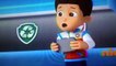 Paw patrol pups save a sniffle clip 4