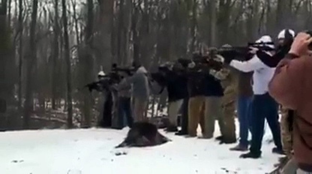 Couper un arbre à l'américaine... à coup de fusil