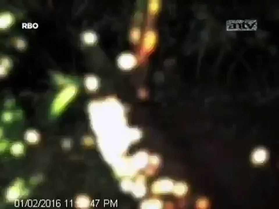 Misteri Goa Jepang | Jejak Paranormal