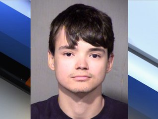 Child porn distributor admits to sex with minors - ABC15 Crime
