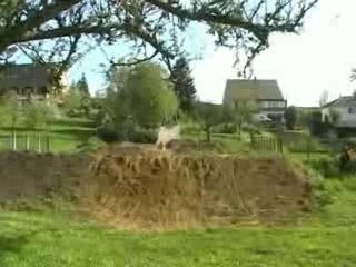 Dirty DiViDi vol. I benji partie 2