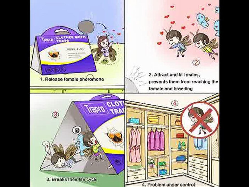 [- Trapro Clothes Moth Traps Pheromone Moth Traps Sticky Moth Killer for Clothes and Carpet Moth (6