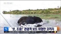 [별별영상] '쉿, 조용!' 관광객 보트 위협한 코끼리