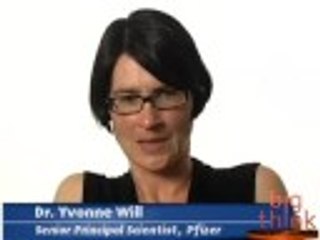 Dr. Yvonne Will on the challenges of drug development