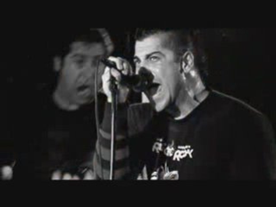 Zebrahead Karma Flavored Whisky