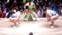 鶴竜 vs 玉鷲 2018年大相撲夏場所2日目 20180514