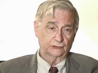 What has so enamored you about ants?