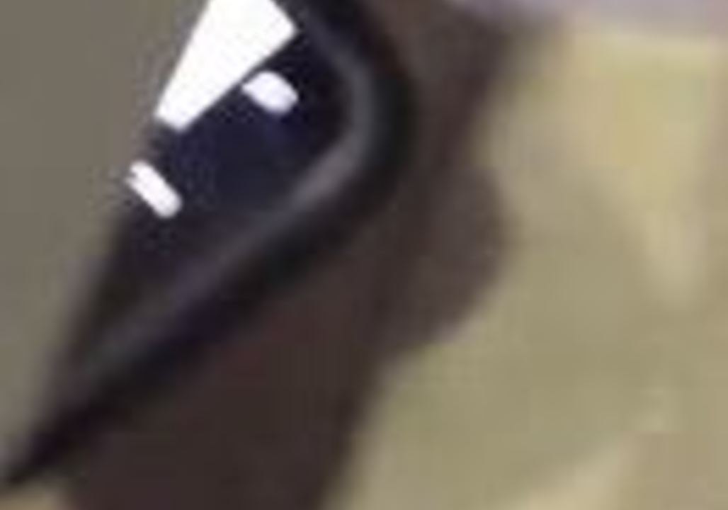 Man Caught Secretly Filming Women in Burleigh Heads Public Bathroom