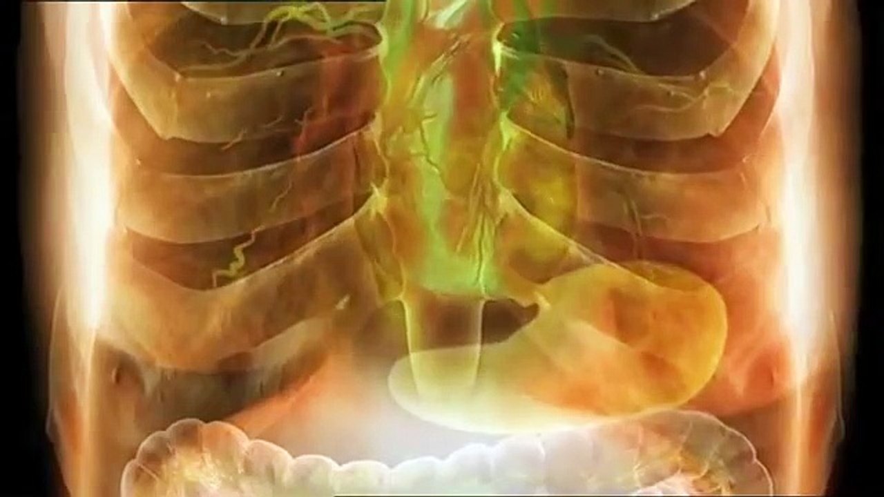 POISONOUS WOMEN | Nannie Doss | Mary Anne Cotton | Kristen Gilbert | Annmarie Hughes