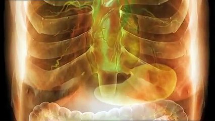 POISONOUS WOMEN | Nannie Doss | Mary Anne Cotton | Kristen Gilbert | Annmarie Hughes