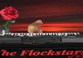 Talented Chicken Performs Amazing Grace Cover on Keyboard