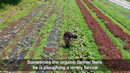 Lonely furrow: Little pay dirt for organic farming in Japan