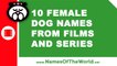 10 female dog names from films and series - the best pet names - www.namesoftheworld.net