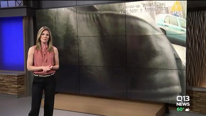 Seattle Police Release Bodycam Video of Incident in Which Cop Was Charged with Misdemeanor Assault