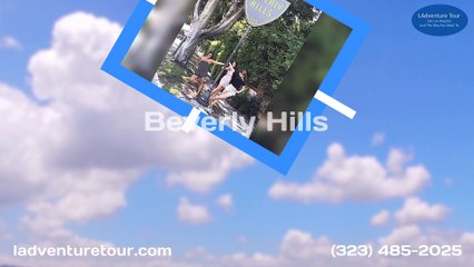 Los Angeles Private Tour