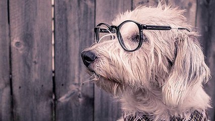 Juego Recomendado Junio 2018 | KingPinBowling | Las Bolas De Colores