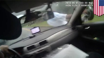 Body cam catches police officer striking man with patrol car