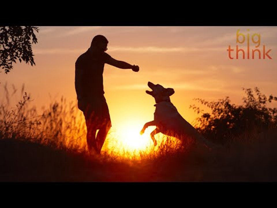 "Fur Therapy" and Other Treats That Can Help You Change a Bad Habit