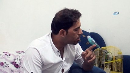 Bu muhabbet kuşu 'Başkan Tayyip Erdoğan' diyor