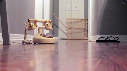 Baby Girl Receives An Important Phone Call