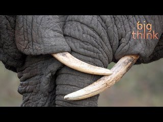 What Tibet Can Teach the West About Self-Worth