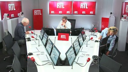 Domenach : "Le moustique tigre, une nouvelle menace animalière pour Anne Hidalgo"