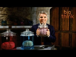 Time-Management Tips from a Neuroscientist | Daniel Levitin