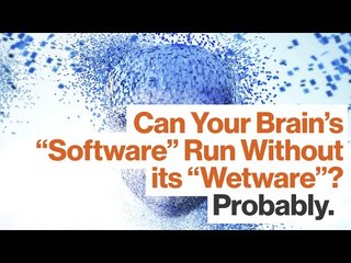 David Eagleman: Can a Computer Simulate Consciousness?